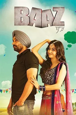 baaz 2014