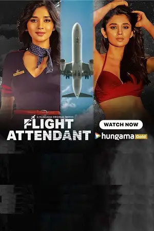 flight attendant 2024