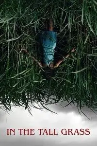 in the tall grass 2019