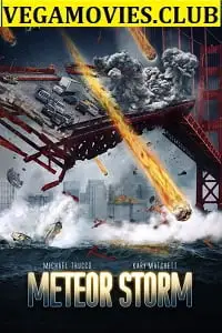meteor storm 2010