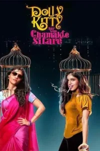 netflix dolly kitty aur woh chamakte sitare 2020