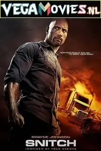 snitch 2013
