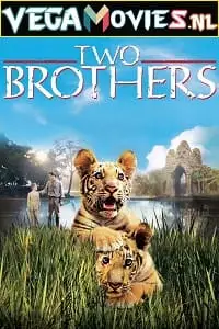 two brothers 2004