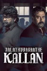 valathu vashathe kallan 2026